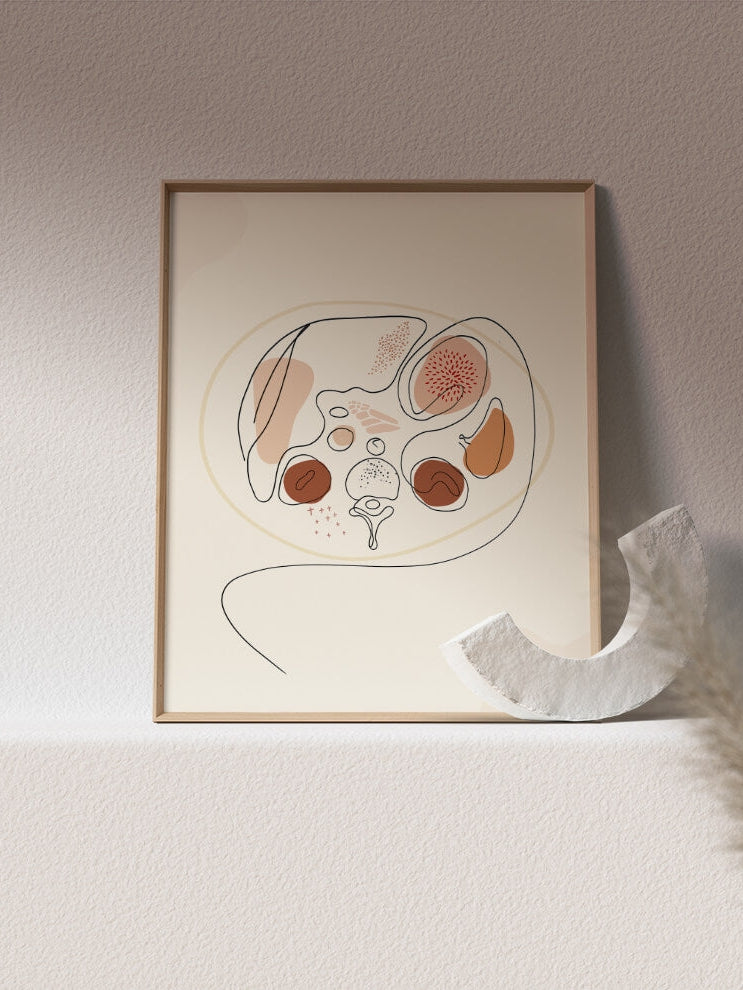Abdomen anatomy art print-beige minimal  medical art-abdomen CT anatomical art