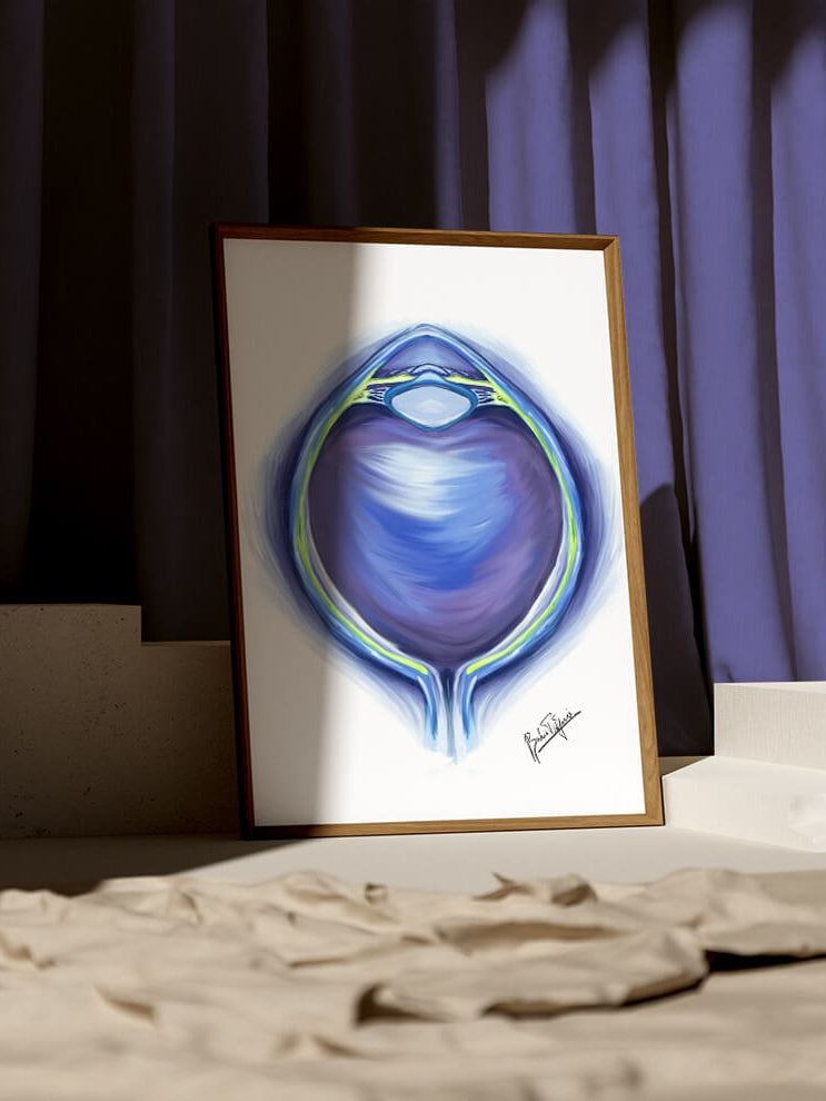 Eye art anatomy print- Eyeball anatomy wall art- Ophthalmologist optometrist oculoplastic gift-Ophthalmology art- Optometry painting