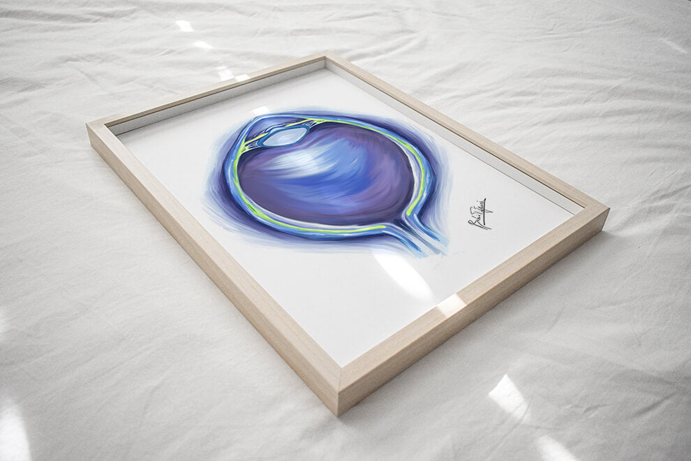 Eye art anatomy print- Eyeball anatomy wall art- Ophthalmologist optometrist oculoplastic gift-Ophthalmology art- Optometry painting