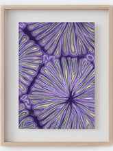 Hepatocytes histology art