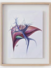 Liver anatomy art