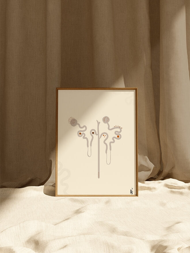 Nephron anatomy art printer-boho minimalist abstract art- nephrology wall art- nephrologist urologist gift- medical art-anatomical kidney
