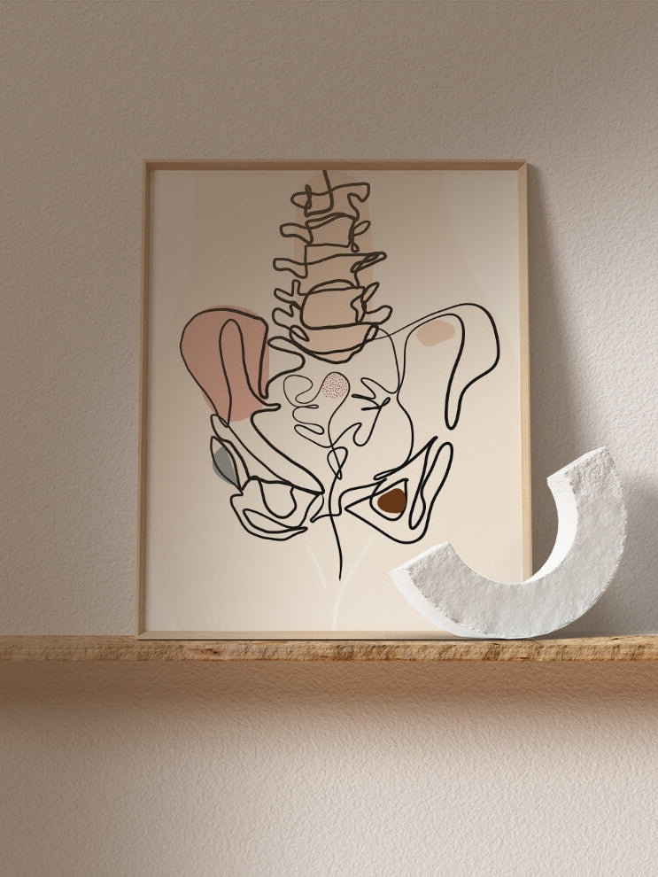 Pelvis anatomy line art-Pelvic bone-Chiropractor Orthopedic surgeon gift -Abstract lumbar spine art print-Spine line drawing