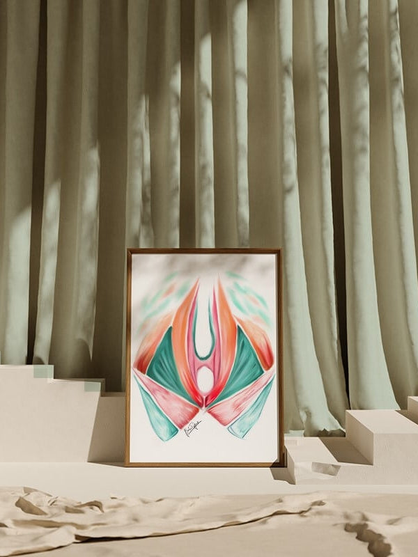 Abstract Pelvic floor anatomy art print –OBGYN female art-Urology art-Obstetrician Gynecologist Urologist gift-Muscles anatomy art