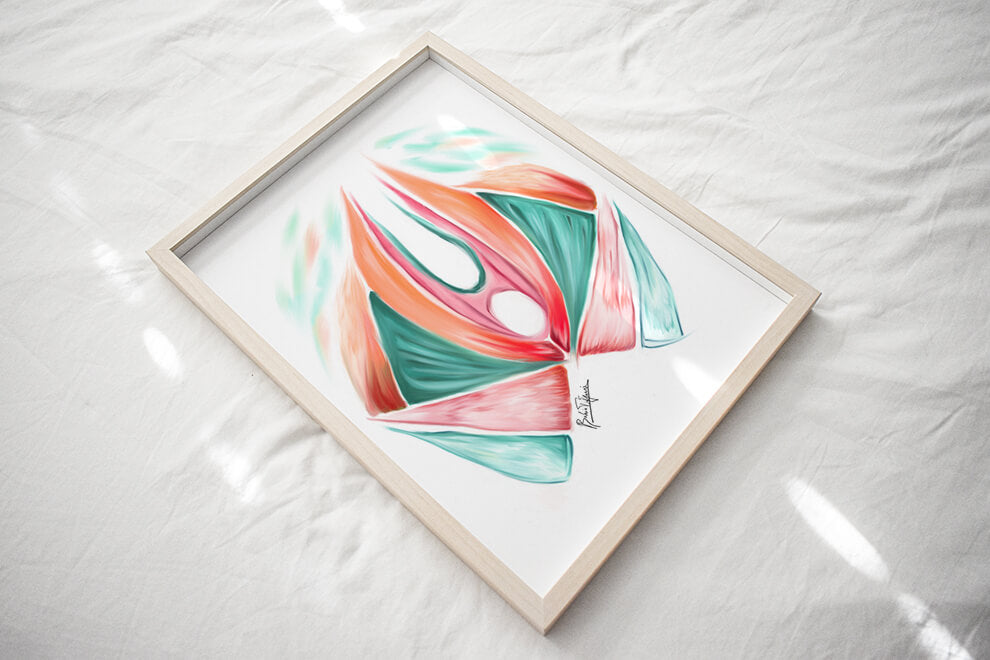 Abstract Pelvic floor anatomy art print –OBGYN female art-Urology art-Obstetrician Gynecologist Urologist gift-Muscles anatomy art