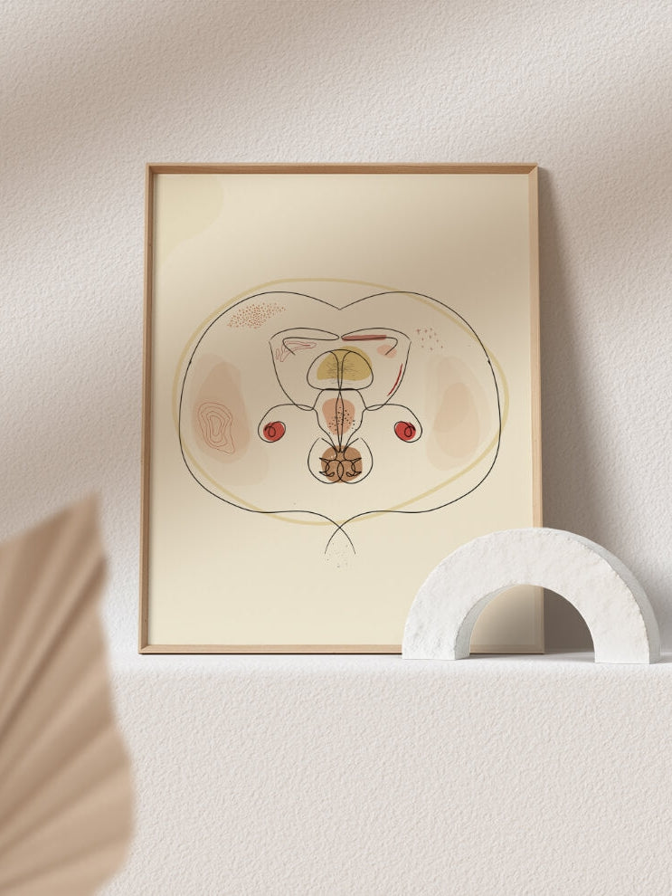 Pelvis CT cross sectional art