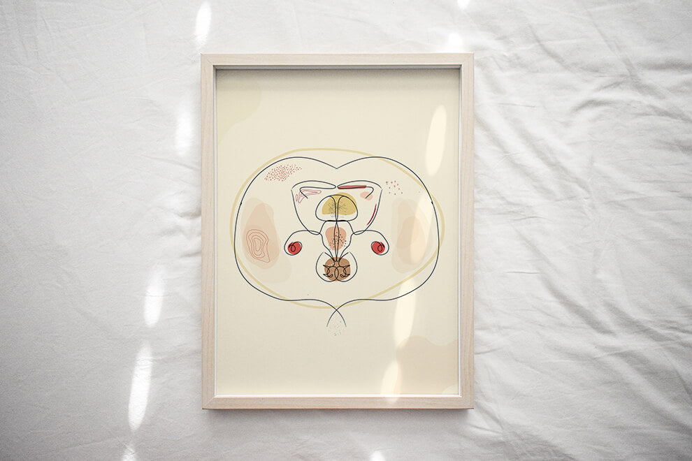Pelvis CT cross sectional art