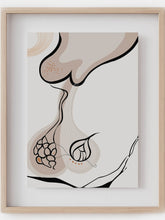 Pituitary line art