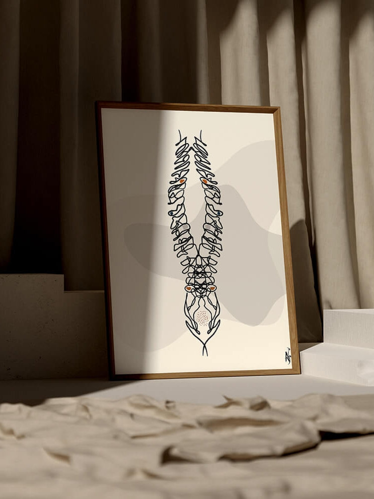 Human spine anatomy art print- Medical line art-Abstract chiropractic art-Spine surgery art-Chiropractor Orthopedic surgeon gift