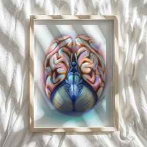 A captivating piece of wall art featuring a stylized depiction of the human brain, blending elements of a brain scan and abstract artistic design. The artwork is printed with intricate details, making it an ideal gift for neurologists, neurosurgeons, or anatomy enthusiasts. Perfect as an anatomy art poster or print, it combines scientific precision with modern aesthetics, offering a unique touch to any office or home decor.