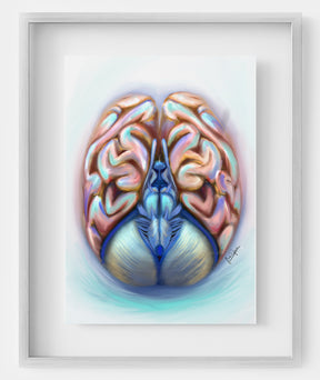 A captivating piece of wall art featuring a stylized depiction of the human brain, blending elements of a brain scan and abstract artistic design. The artwork is printed with intricate details, making it an ideal gift for neurologists, neurosurgeons, or anatomy enthusiasts. Perfect as an anatomy art poster or print, it combines scientific precision with modern aesthetics, offering a unique touch to any office or home decor.