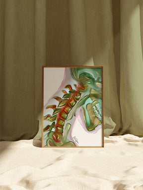 Spine anatomy artwork