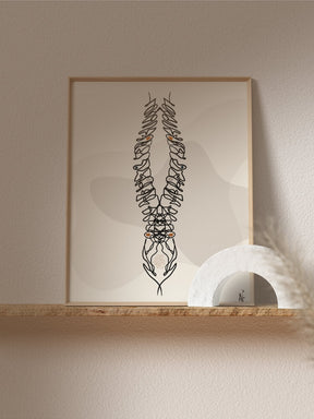Human spine anatomy art print- Medical line art-Abstract chiropractic art-Spine surgery art-Chiropractor Orthopedic surgeon gift
